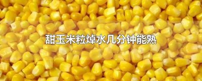 ​甜玉米粒焯水几分钟能熟