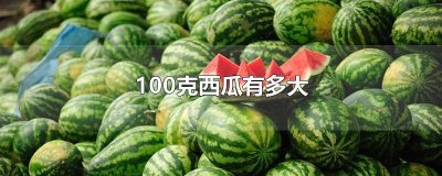 ​一个西瓜几百克 一个西瓜大概几千克