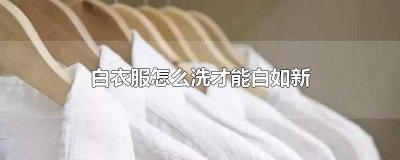 ​白衣服怎么洗才能白如新