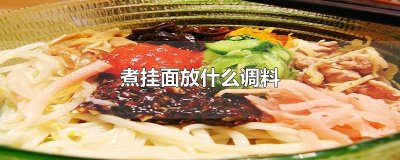 ​煮挂面放什么调料