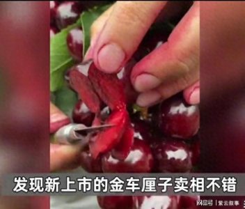​金车厘子身价暴涨一斤300多,你会买吗