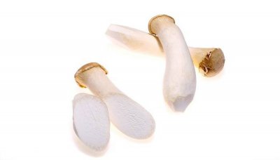 ​杏鲍菇是热性还是凉性食物 杏鲍菇是不是凉性的