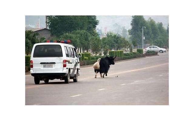 挽回老婆的道歉信，挽回老婆的道歉信，如何挽回老婆的心？