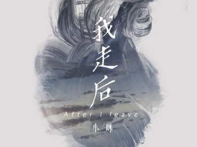 ​我走了你别再难过是什么歌，我走后歌曲介绍