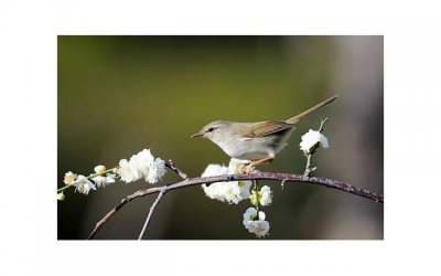 ​无遮挡啪啪摇乳动态图GIF