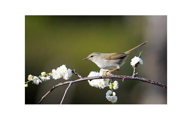 无遮挡啪啪摇乳动态图GIF