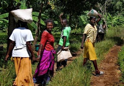 ​干皮还想要，婴儿肌？乳木果了解一下