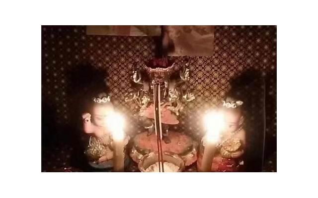 首次玩菊花应该注意什么 菊花玩法有哪些需要注意