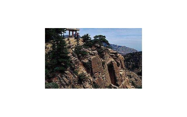 有哪些习惯是你坚持5年以上的(你有没有哪些事坚持了5年以上)