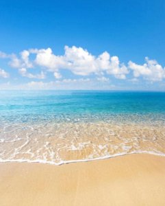 ​2023年河源市高中最新排名：河源中学、龙川县一中