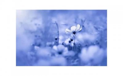 ​女性高潮是什么样的？