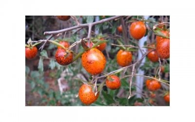 ​私处容易湿是好事还是坏事