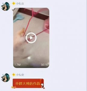 ​虐猫事件持续发酵，发展虐猫产业链，网友：动物保护法刻不容缓