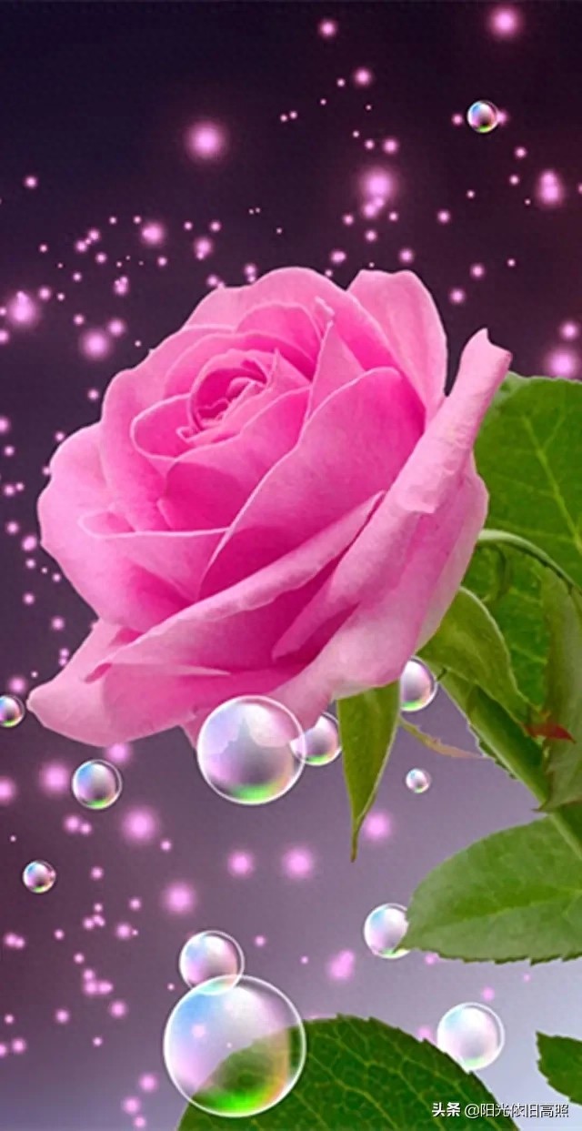 一句话经典励志带字唯美图片