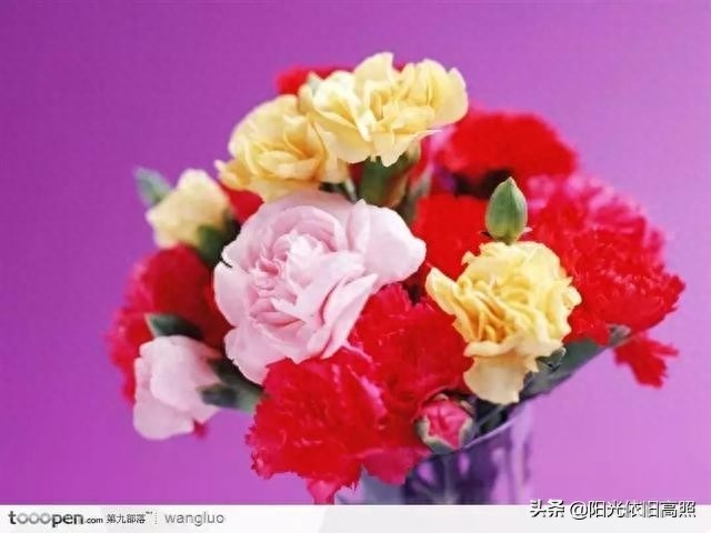 一句话经典励志带字唯美图片