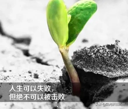 一句话经典励志带字唯美图片