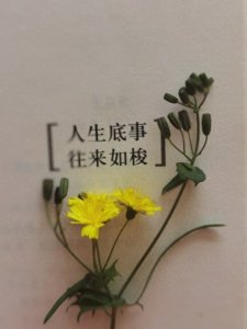 ​从零到一，打造一个精彩的人生