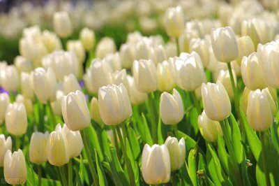 ​婚外情并没有想象的那么美好，越到最后两个人反而越痛苦