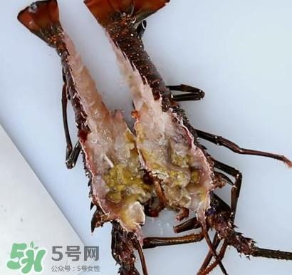 波士顿龙虾怎么去虾线？波士顿龙虾怎么清洗