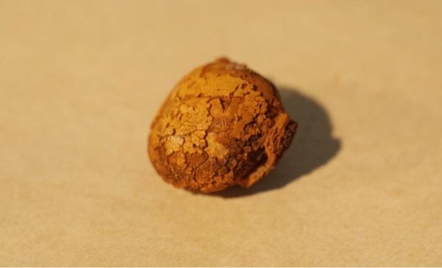 生活市面上最昂贵的三种中药材（石斛为什么会这么贵）  3