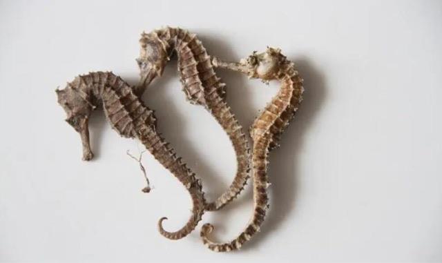 生活市面上最昂贵的三种中药材（石斛为什么会这么贵）  1