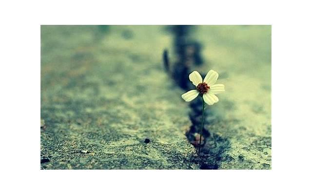 把老公和小三的聊天记录,发到了他公司群里 把老公和小三的聊天记录,发到了他公司群里