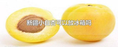 ​新疆白杏如何保存 新疆小白杏宝宝能吃吗