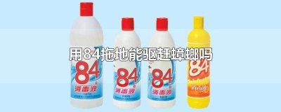 ​用什么能驱赶蟑螂 驱蟑螂的最好方法