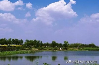 ​大美不言 | 衡水湖