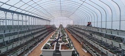 ​大悟县新城镇毛集村：打造农旅融合产业，缔造幸福乡村