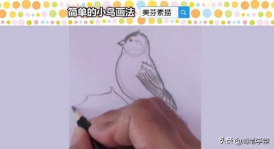 ​初级素描快速入门教程，简单几笔画一只可爱小鸟铅笔画，适合新手