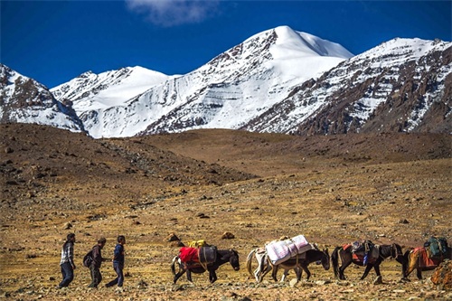 神圣的拉达克，美丽的班公湖