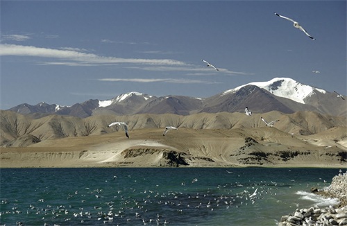 神圣的拉达克，美丽的班公湖