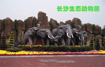 ​潇湘漫游(18) 【长沙生态动物园】