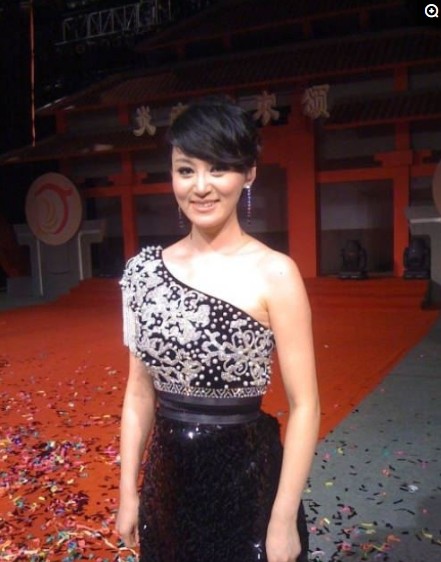 各大卫视“一姐”