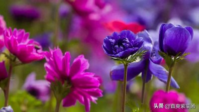 ​这个春节会冷吗？网友们的最新预测来啦！