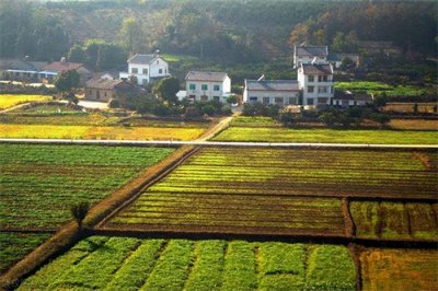 ​农村有土地的要注意了，农村这3类土地要升值了