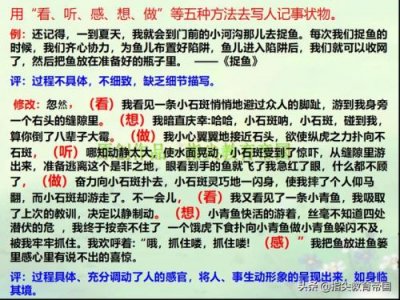 ​拔河比赛的作文300字三年级(拔河比赛的作文500字六年级)