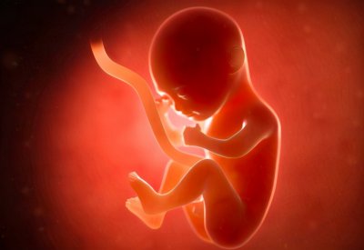 ​从蓝莓到西瓜，一张图带你了解顺产“开十指”，当妈真心不容易