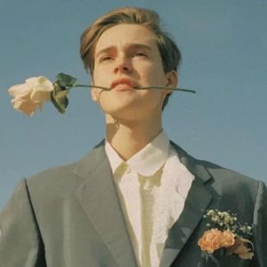 ​宝藏男孩的欧美系头像2.0（荷兰弟）