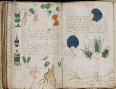 ​伏尼契手稿：跨越600年的密码迷宫与文明暗语