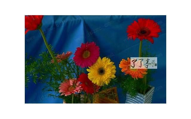 闺蜜恋爱以后,就患上了轻度的抑郁症 闺蜜恋爱以后,就患上了轻度的抑郁症