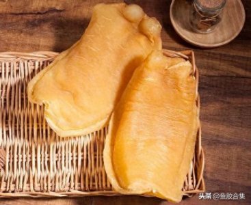 ​赏谈赤嘴鳘鱼胶种类及作用