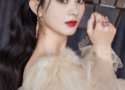 ​烤箱烤弟翅的做法