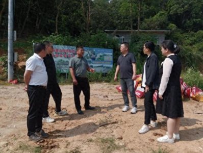 ​南安金淘镇村村有科技特派员“传经”