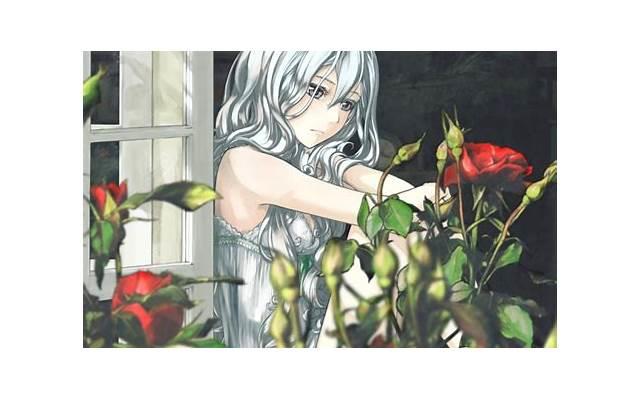 心情超好图片（最漂亮早上好心情好图片大全）