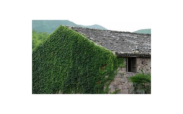 夏天情侣约会不知道去哪玩(重庆夏天适合情侣约会的地方)