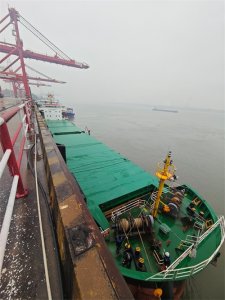 ​武汉阳逻港迎来蛇年首艘外籍入境船舶