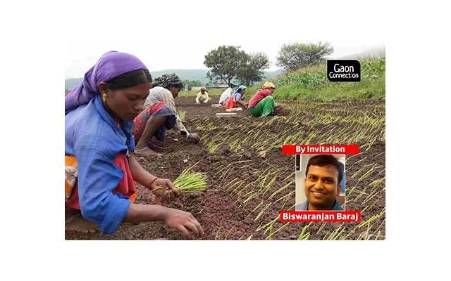 外部动机的缺点