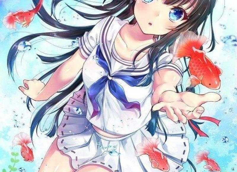 五味子、菟丝子和淫羊藿的功效及三大作用